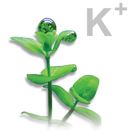 Калий в аквариуме